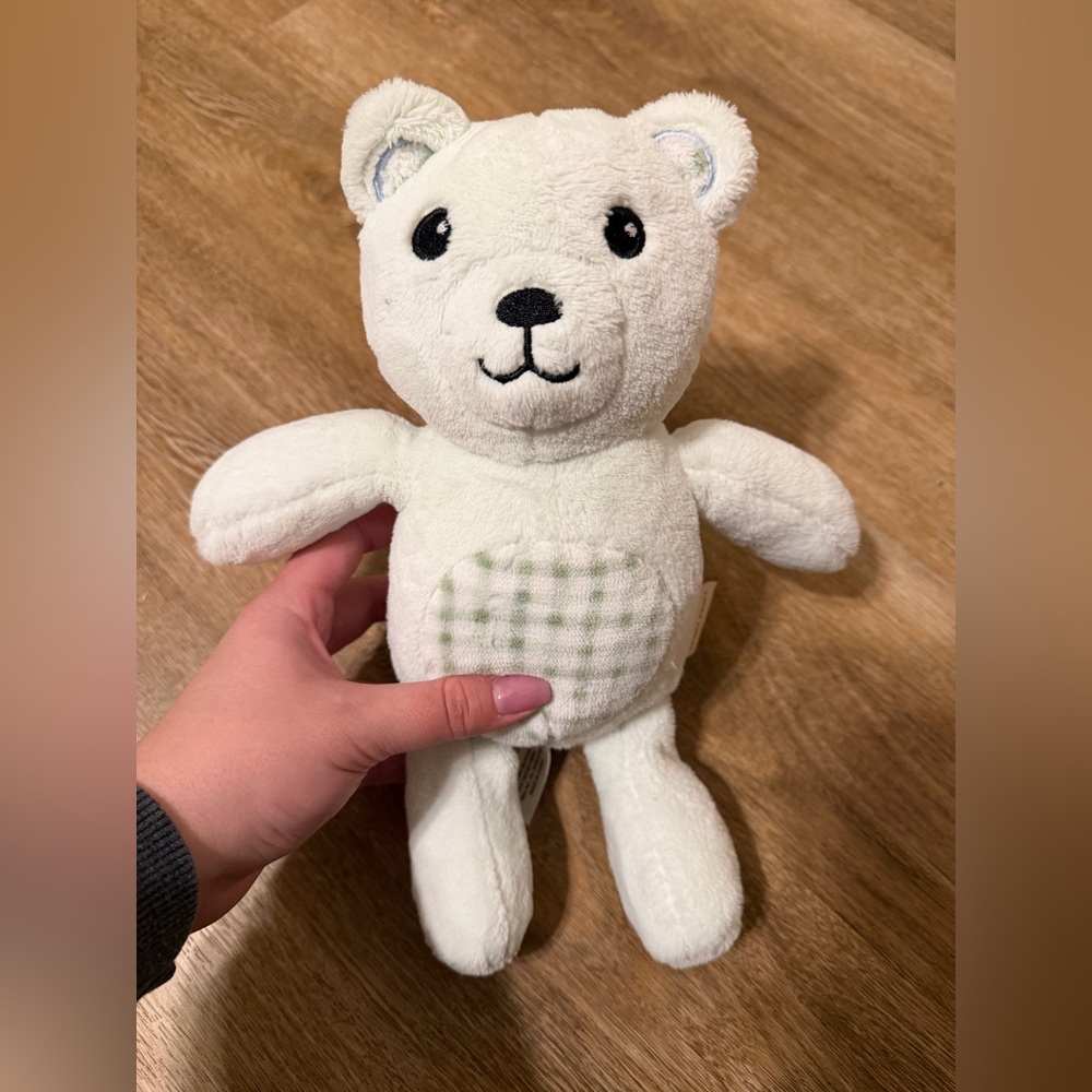 Laura Ashley Green Plush Bear